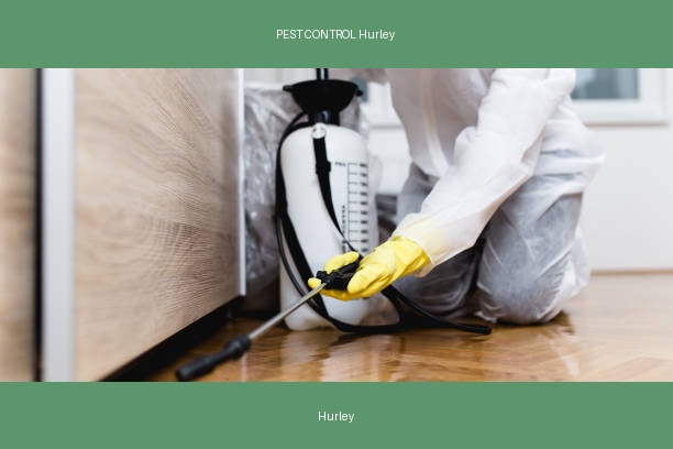 PEST CONTROL Hurley